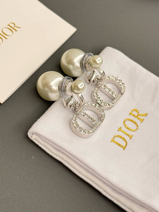 Dior Earrings CE15240