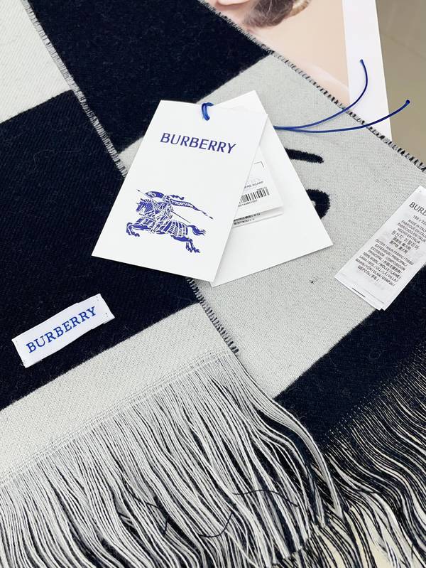 Burberry Scarf BBC00178