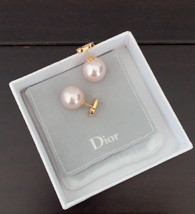 Dior Earrings CE15274