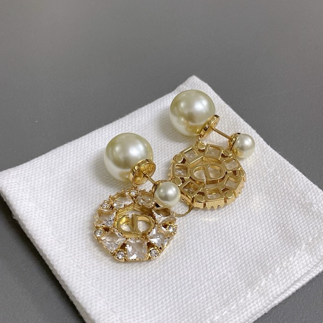 Dior Earrings CE15319