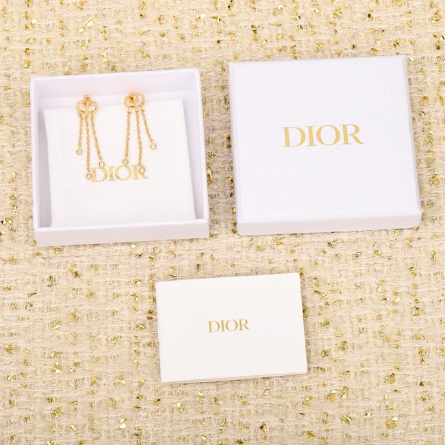 Dior Earrings CE15320