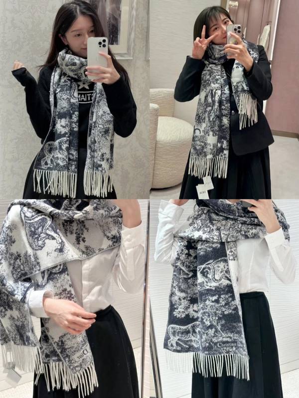 Dior Scarf DIC00373