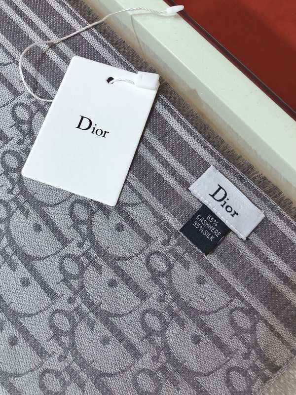 Dior Scarf DIC00383