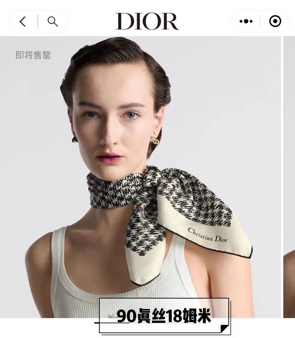 Dior Scarf DIC00401