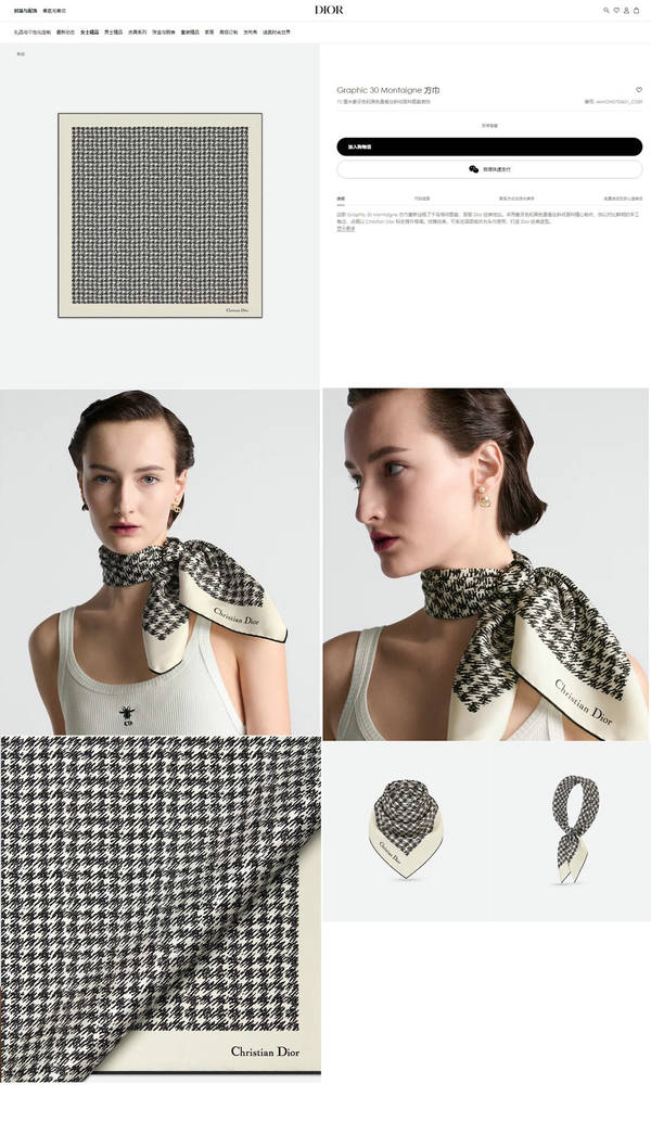 Dior Scarf DIC00401