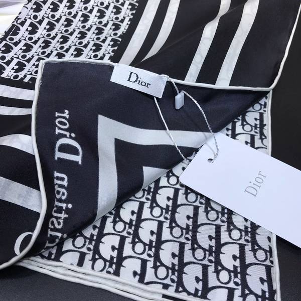 Dior Scarf DIC00409