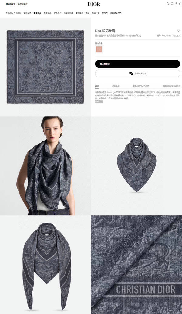 Dior Scarf DIC00433