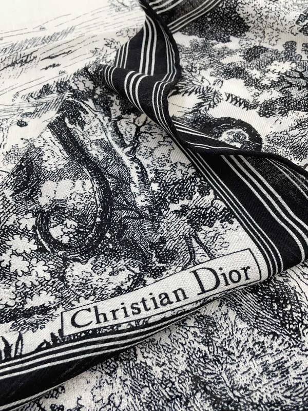 Dior Scarf DIC00434