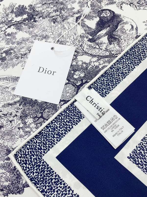 Dior Scarf DIC00471