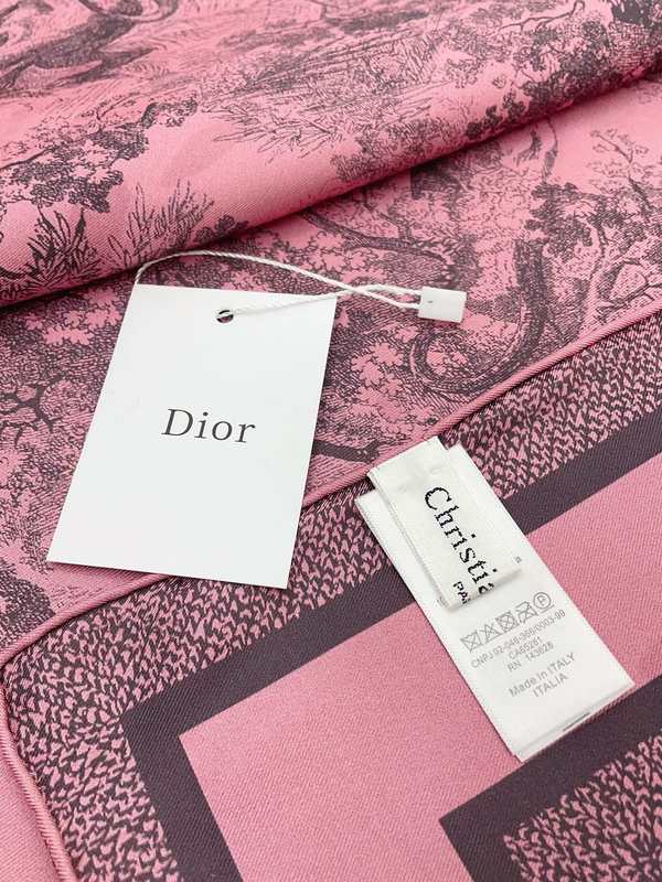 Dior Scarf DIC00474