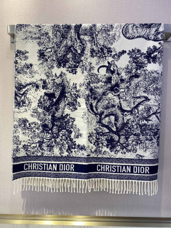 Dior Scarf DIC00475