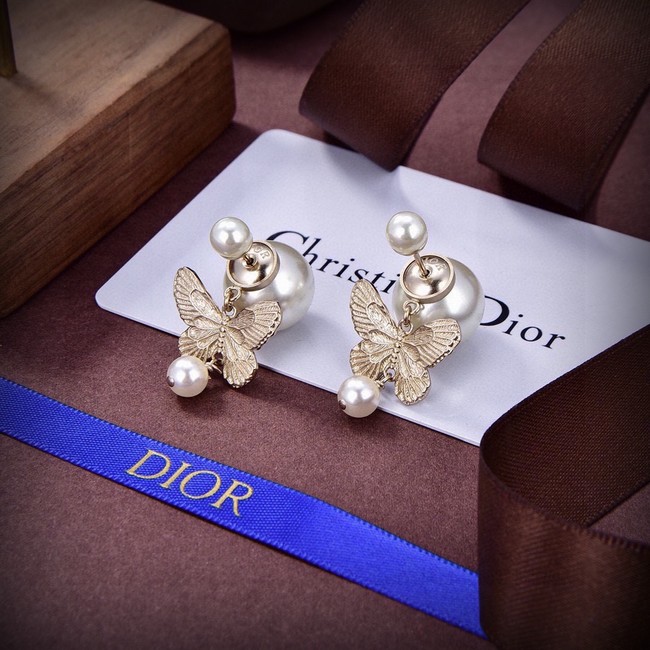 Dior Earrings CE15390