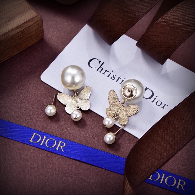 Dior Earrings CE15390