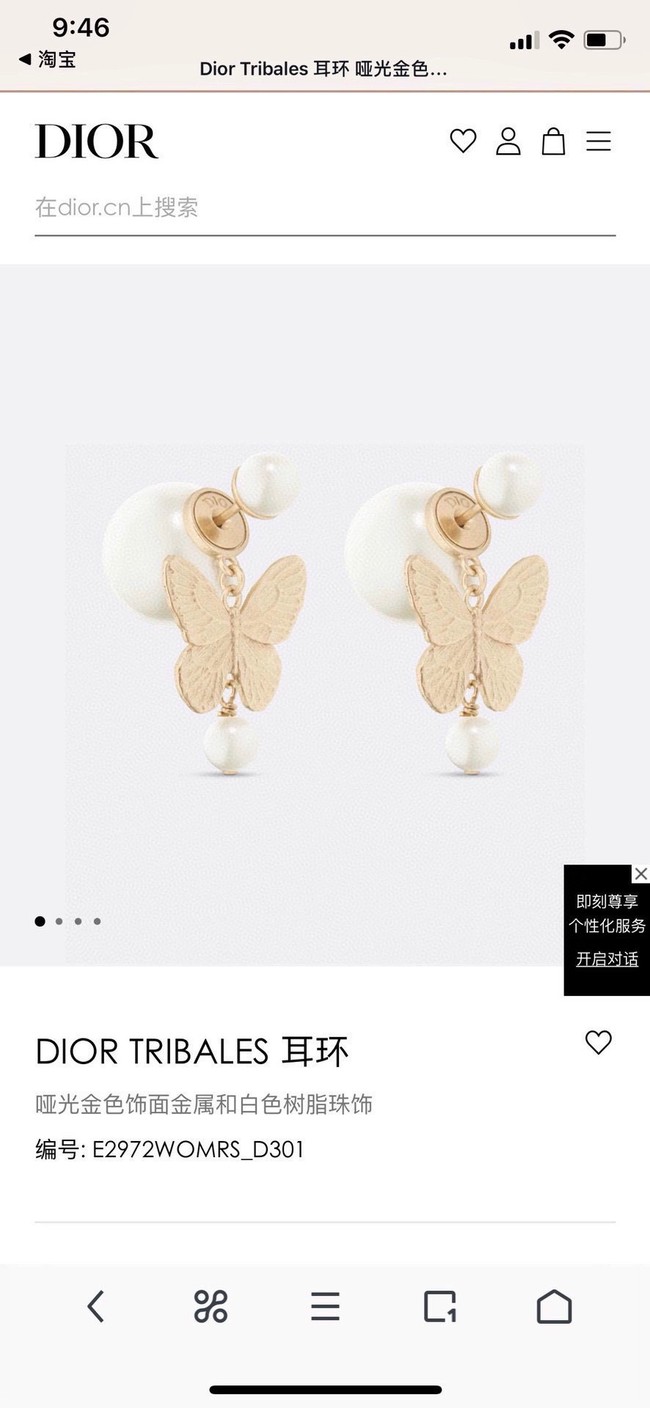 Dior Earrings CE15390