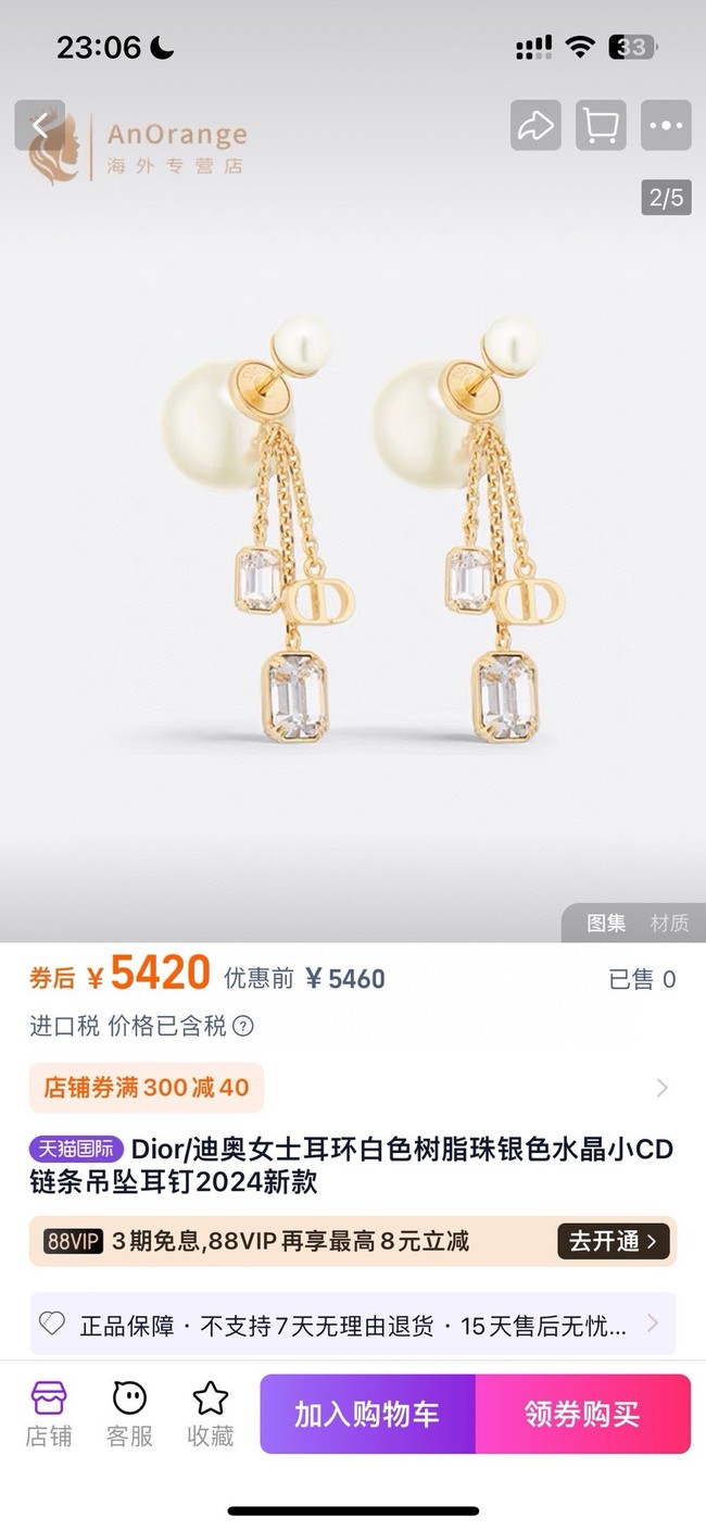 Dior Earrings CE15391