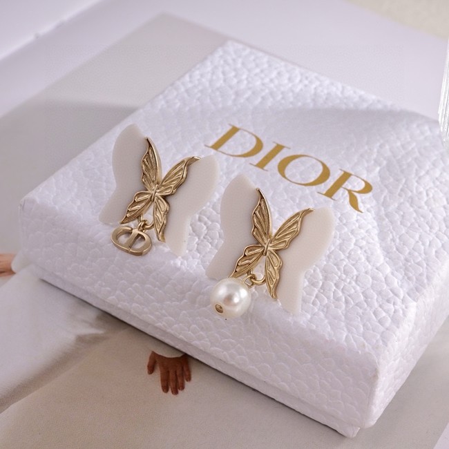 Dior Earrings CE15420