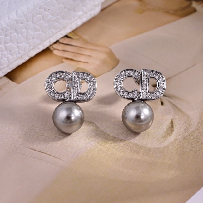 Dior Earrings CE15422