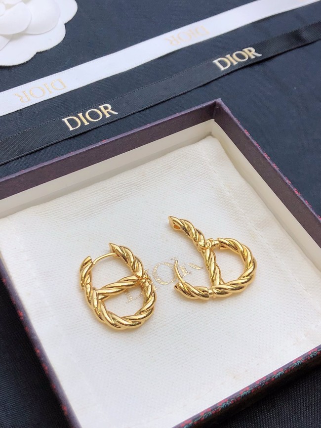 Dior Earrings CE15473