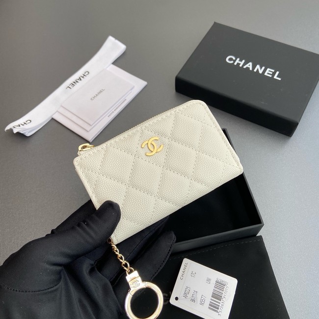 Chanel CLASSIC CARD HOLDER 0221-6