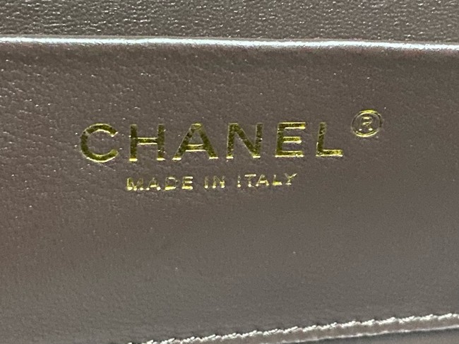 CHANEL BOX BAG AS5168 Dark Brown