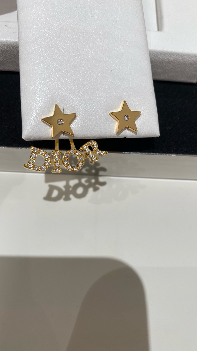 Dior Earrings CE15545