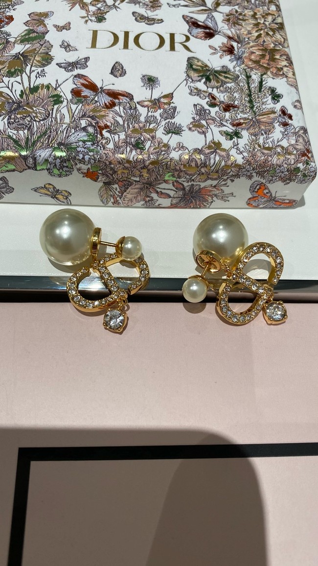 Dior Earrings CE15547