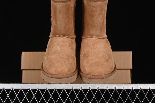 UGG Shoes UGS00170