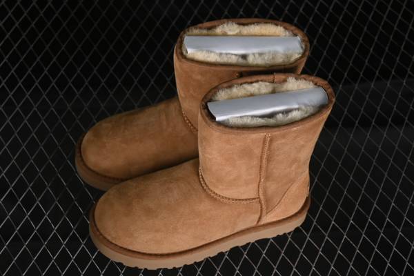 UGG Shoes UGS00170