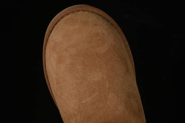 UGG Shoes UGS00170