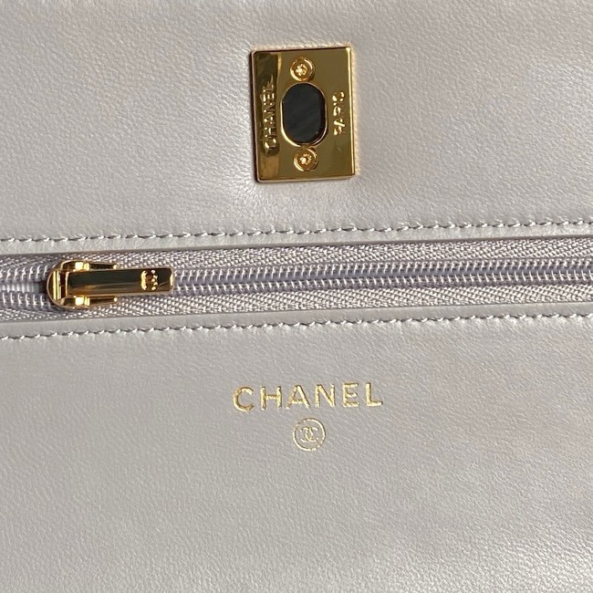 Chanel WALLET ON CHAIN AP4282 gray