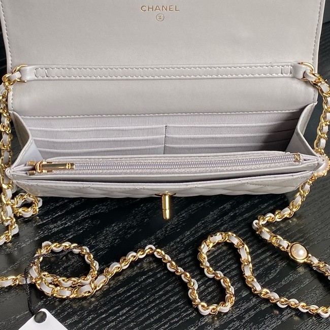 Chanel WALLET ON CHAIN AP4282 gray