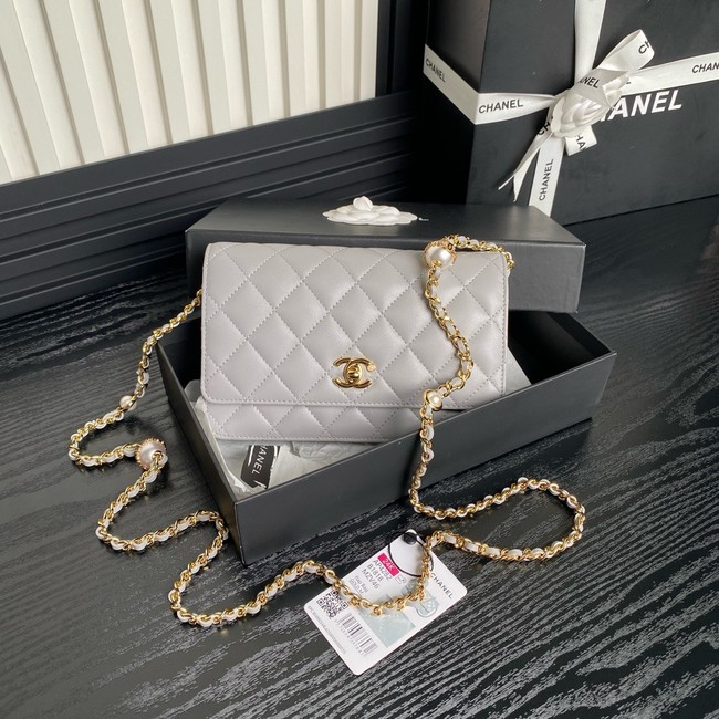 Chanel WALLET ON CHAIN AP4282 gray