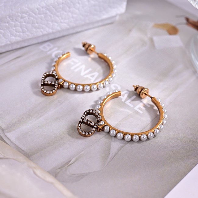 Dior Earrings CE15584