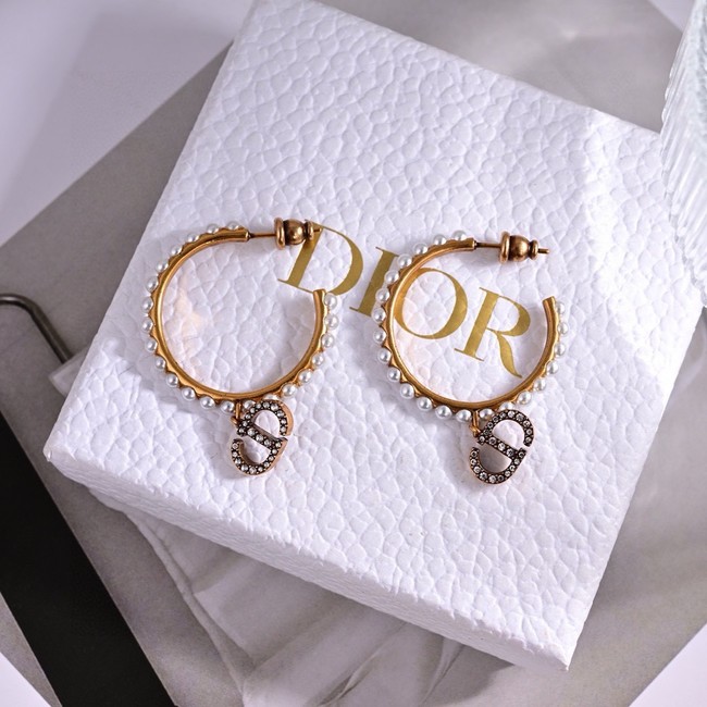 Dior Earrings CE15584