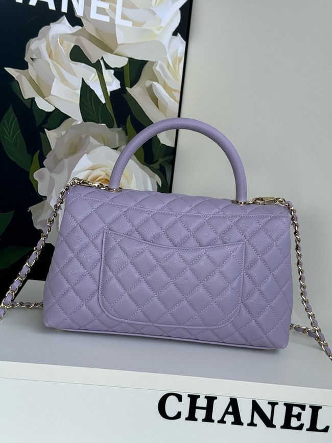 Chanel LARGE FLAP BAG WITH TOP HANDLE A92991 purple