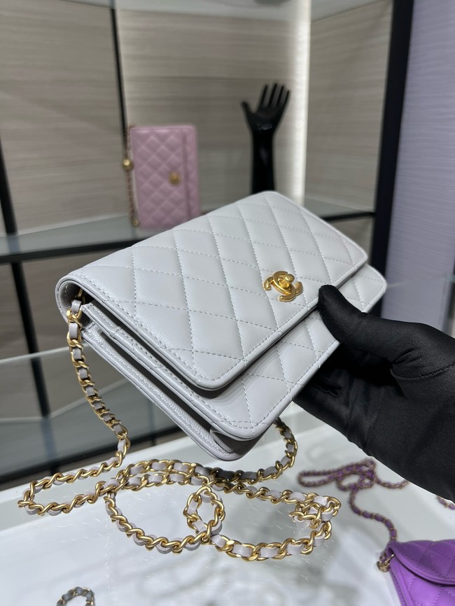 Chanel CLASSIC WALLET ON CHAIN AP1450 gray