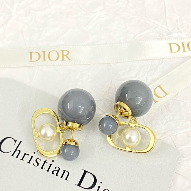 Dior Earrings CE15618