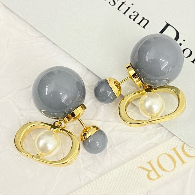 Dior Earrings CE15618