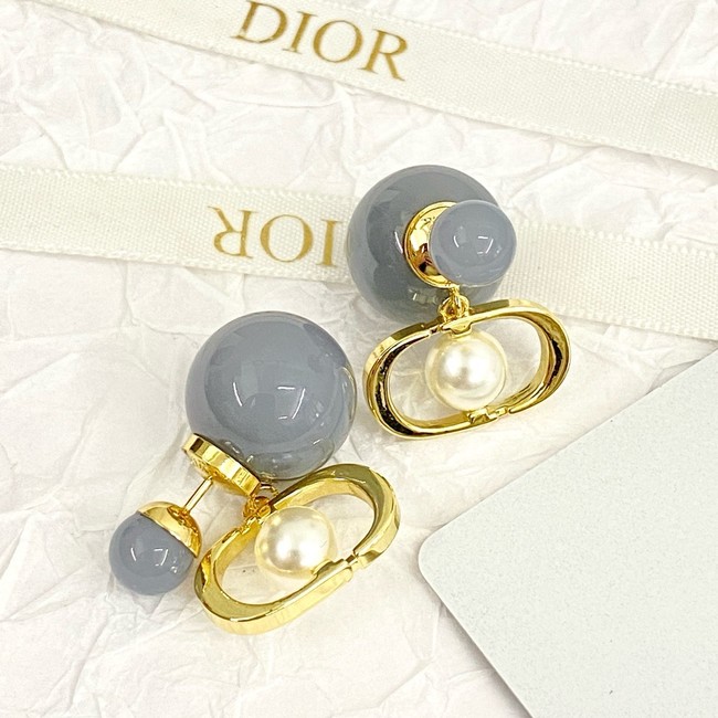 Dior Earrings CE15618