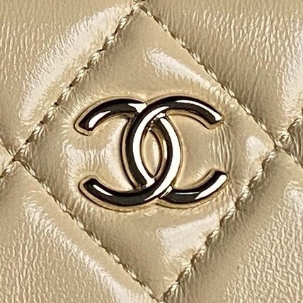 Chanel CAMERA CASE AS5156 Apricot