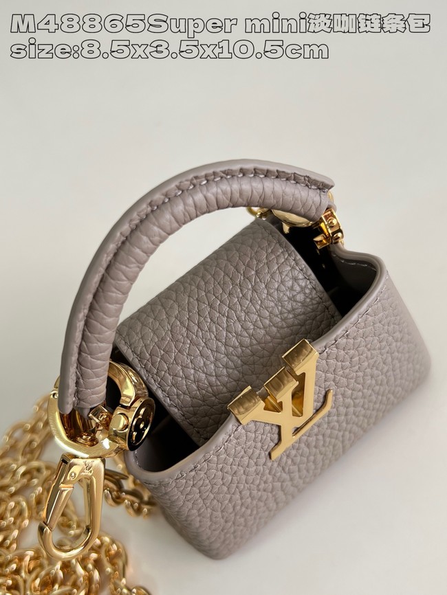 Louis Vuitton Capucines NANO M48865 gray