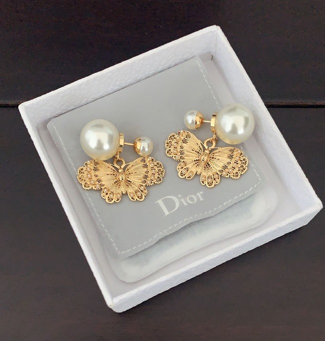 Dior Earrings CE15726