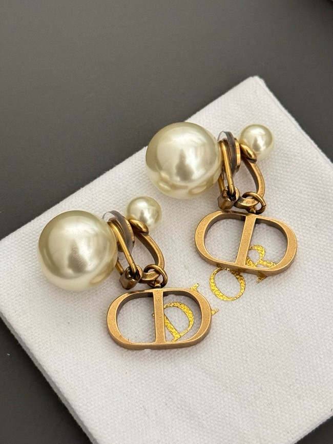 Dior Earrings CE15727