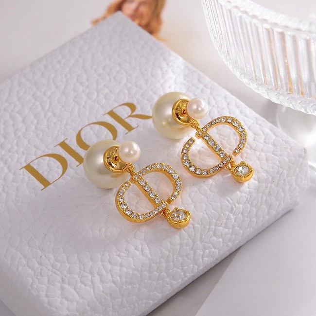 Dior Earring CE15799