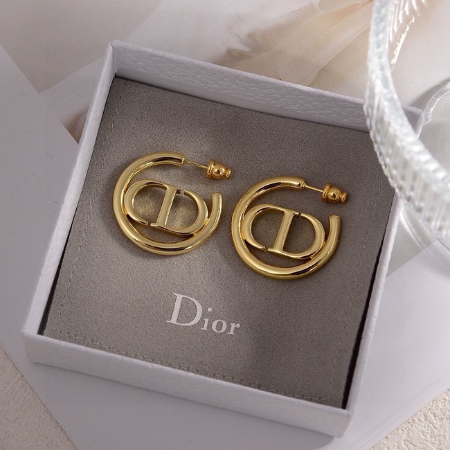 Dior Earring CE15800