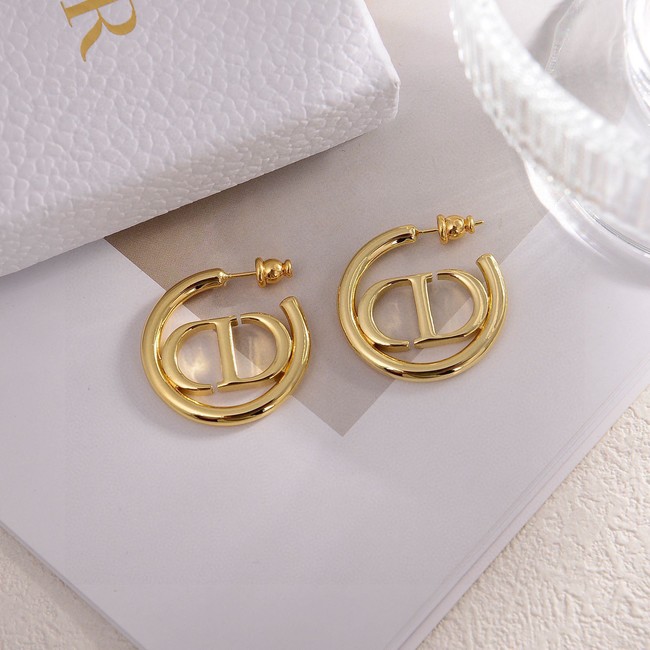 Dior Earring CE15800