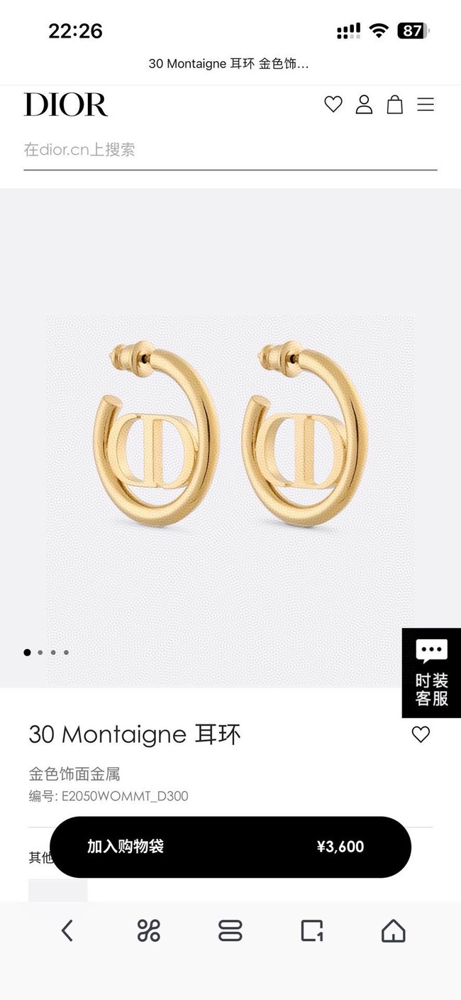 Dior Earring CE15800