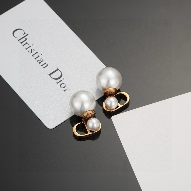 Dior Earring CE15866