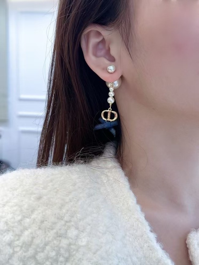 Dior Earring CE15871