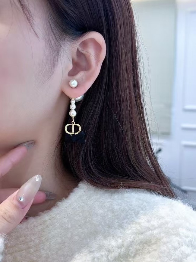 Dior Earring CE15871